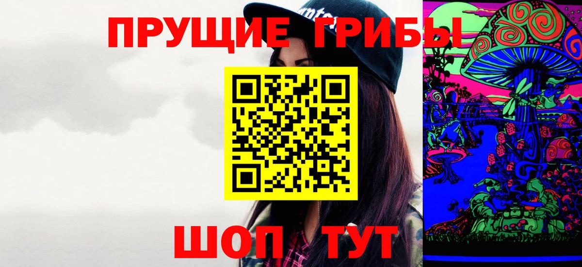 Галлюциногенные грибы Psilocybe  Вход с VPN  Краснознаменск 